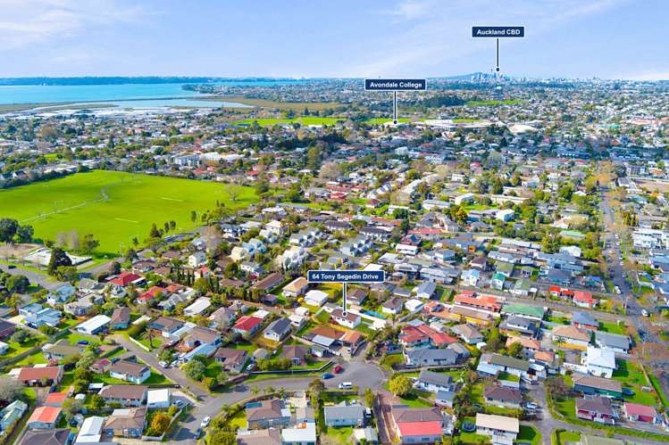 64 Tony Segedin Drive Avondale_23