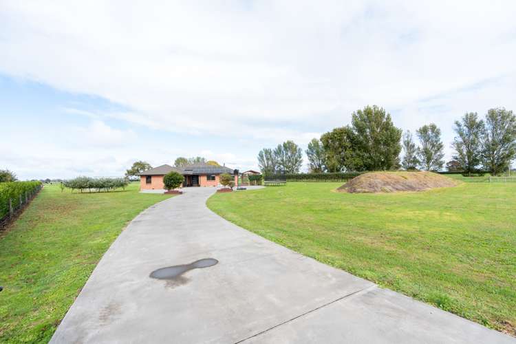 294 Piako Road Gordonton_45