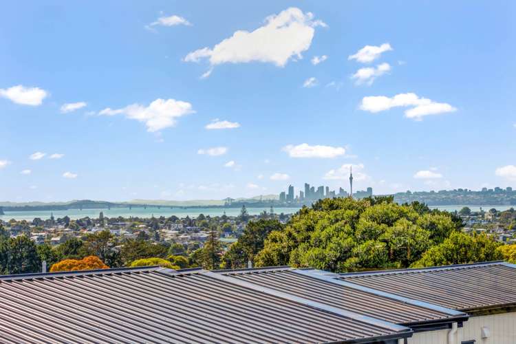 241c Royal Road Massey_14