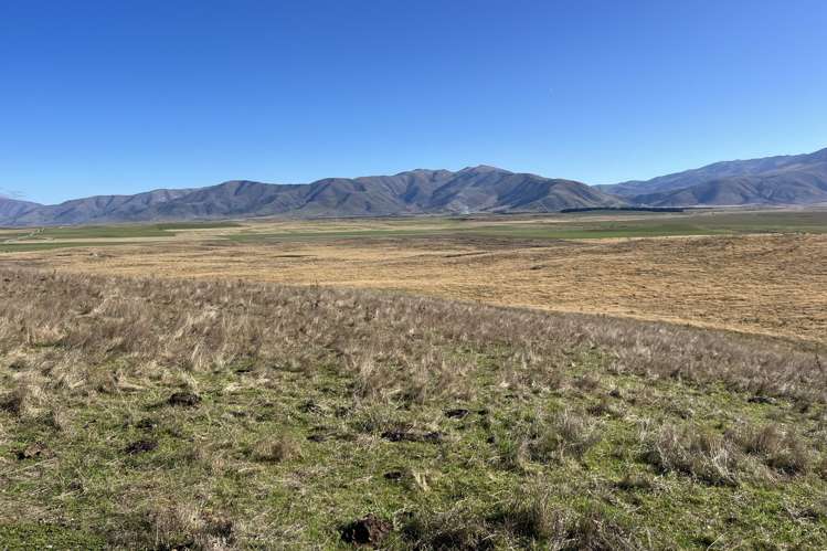 Ohau Downs Station Lake Ohau_13