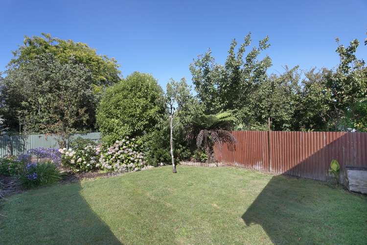 12 High Street Bulls_20