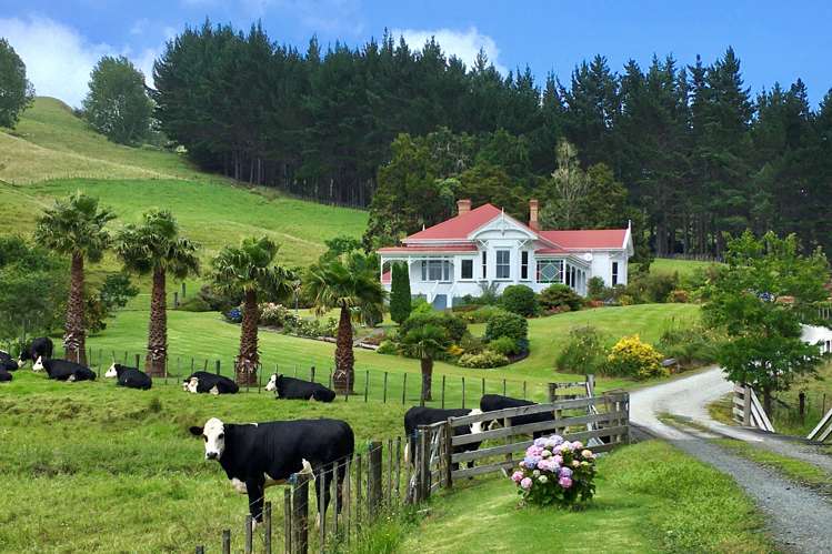 121 Krippner Road Puhoi_17