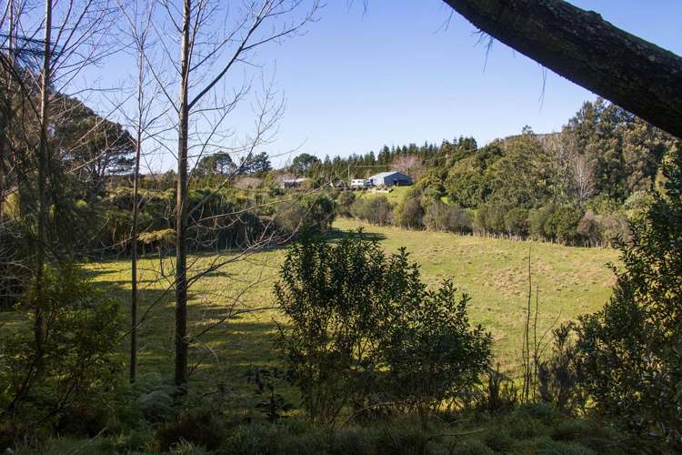 24B Chard Road Katikati_15