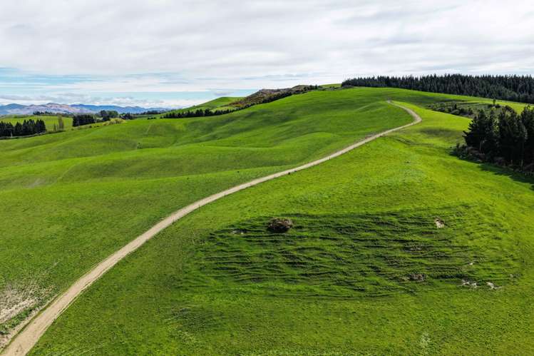 307 Okapua Road Chatton North_19