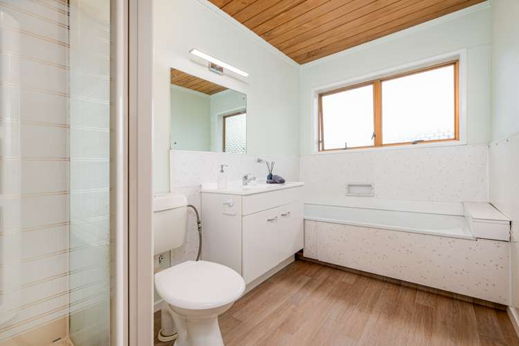 46 Spence Road Henderson_19