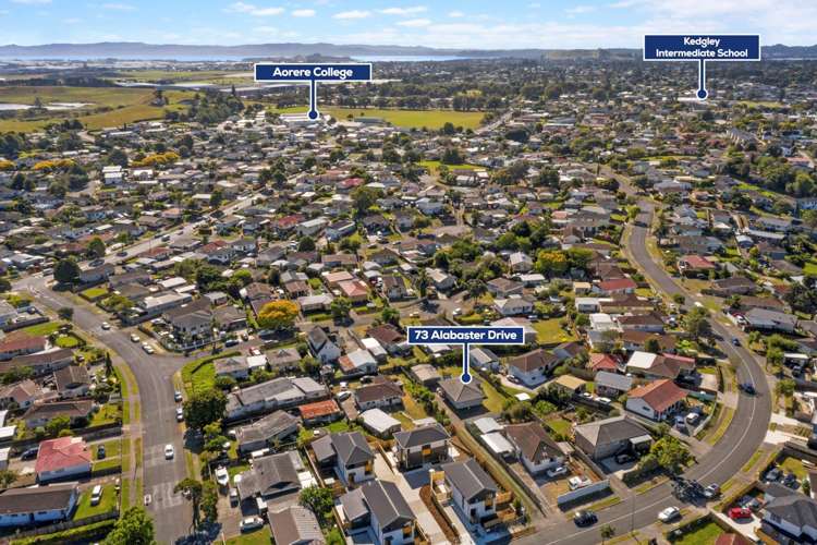 73 Alabaster Drive Papatoetoe_22