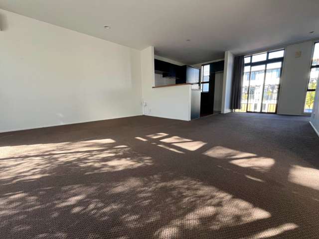 11/50 Livingstone Street Grey Lynn_1