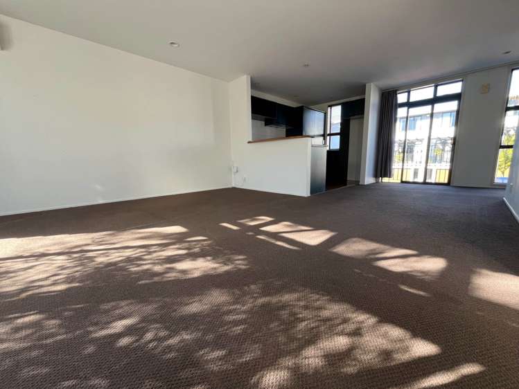 11/50 Livingstone Street Grey Lynn_1