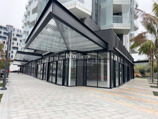 Alexandra Park Apartments Epsom_1