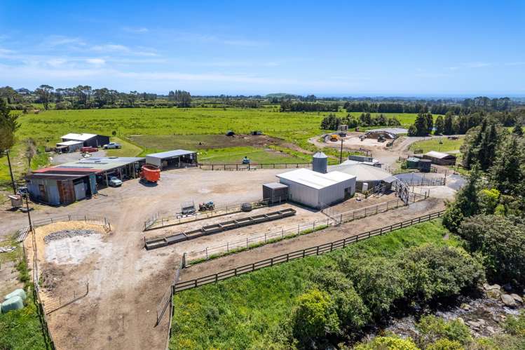 869 Dudley Road Upper Kaimiro_16