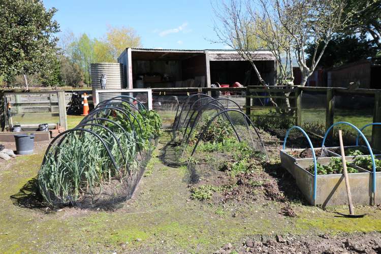 153 Chester Road Carterton_12