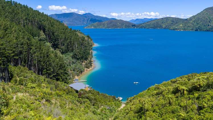 - Bay of Many Coves Queen Charlotte Sound_31