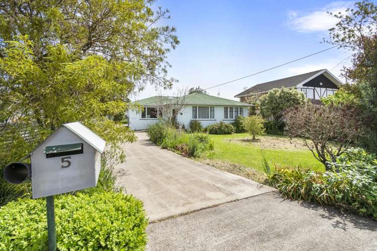 5 Hammond Street Bulls_16