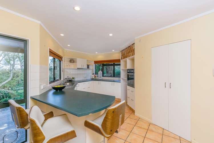 99 Postman Road Dairy Flat_20