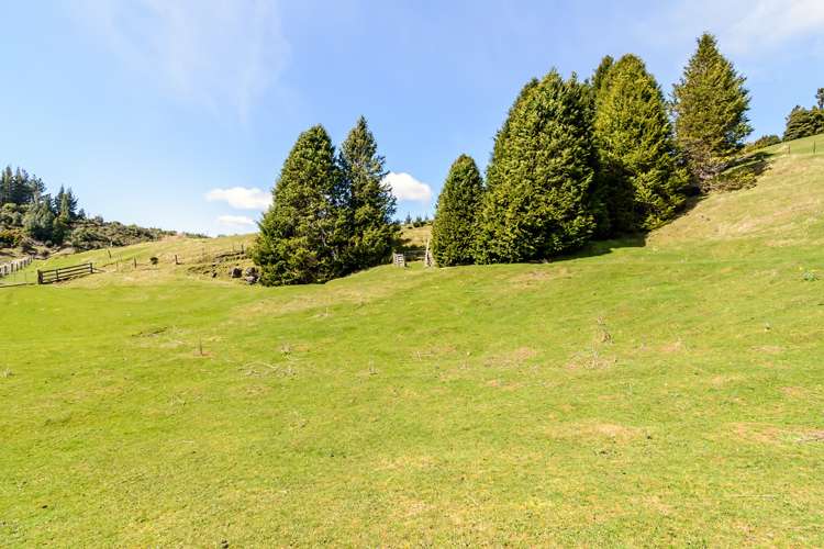 1363 Takaka Hill Highway Kahurangi National Park_5