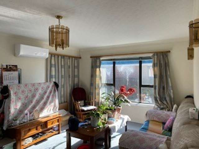 19 Greenhurst Street Sockburn_3