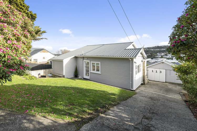 113 Totara Road Miramar_16