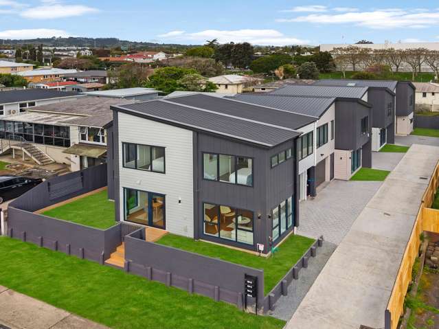 20 Greenmeadows Avenue Manurewa East_2