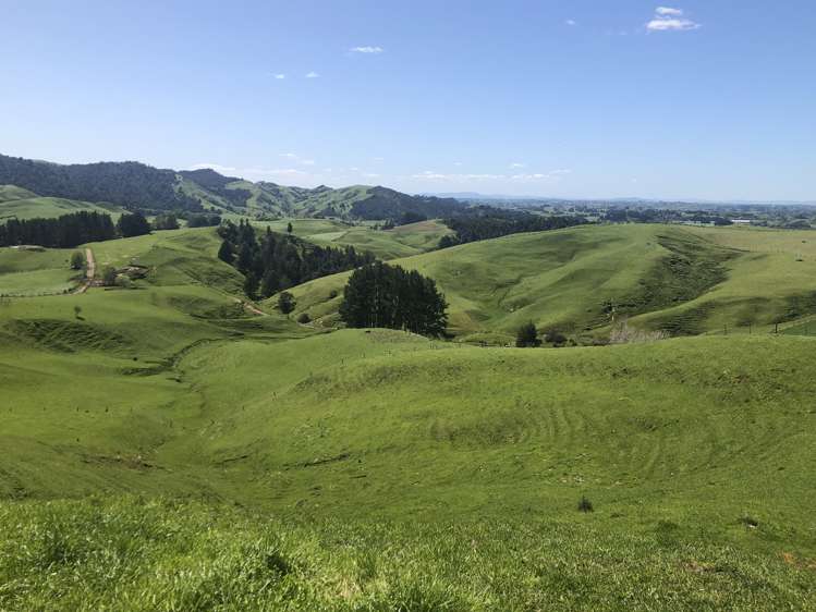 1026 Limeworks Loop Road Karamu_2