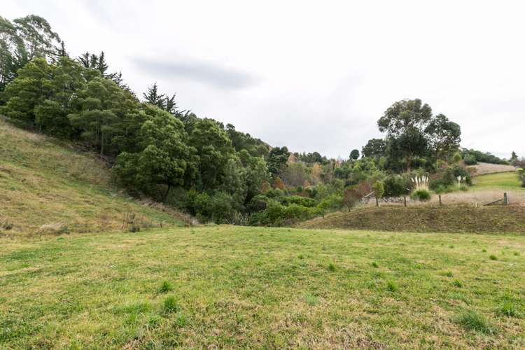 39 Kent Terrace Taradale_7