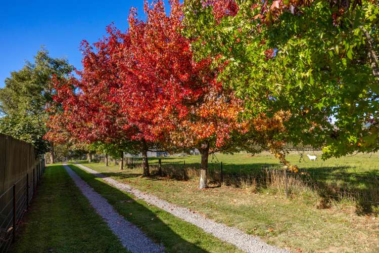 30 Church Lane Wairau Valley_23