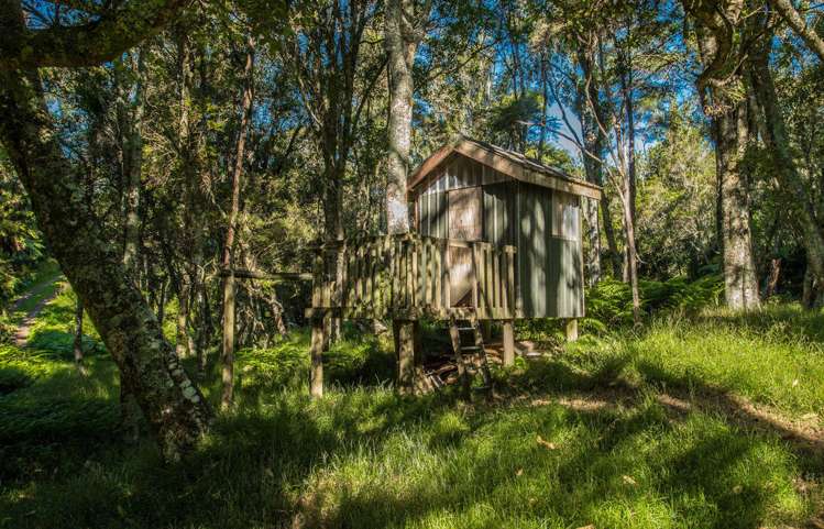 851 Wright Road Aongatete_10