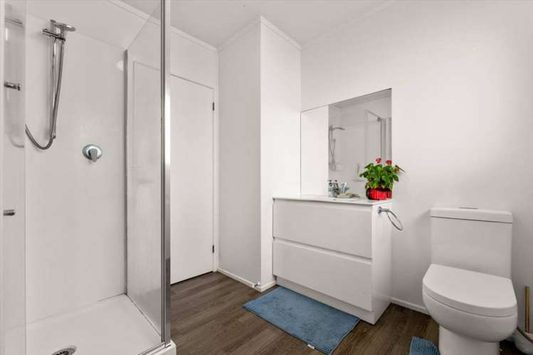 45B Moehau Street Te Puke_10