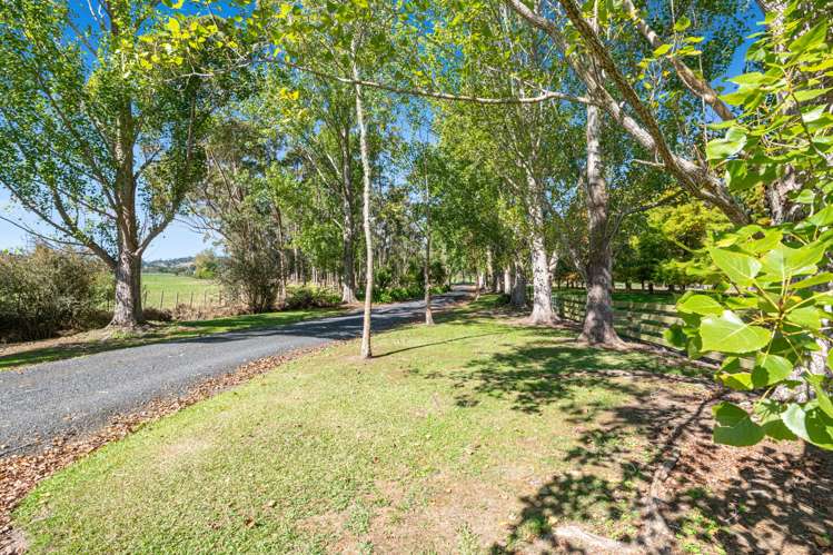 636 Kahikatea Flat Road Waitoki_55