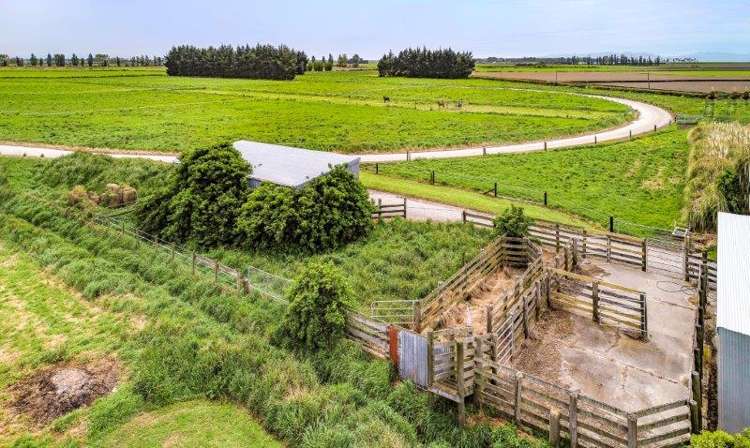 147 Mcconnels Road Leeston_25