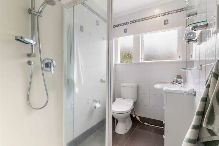 37 Vanessa Crescent Glendowie_24