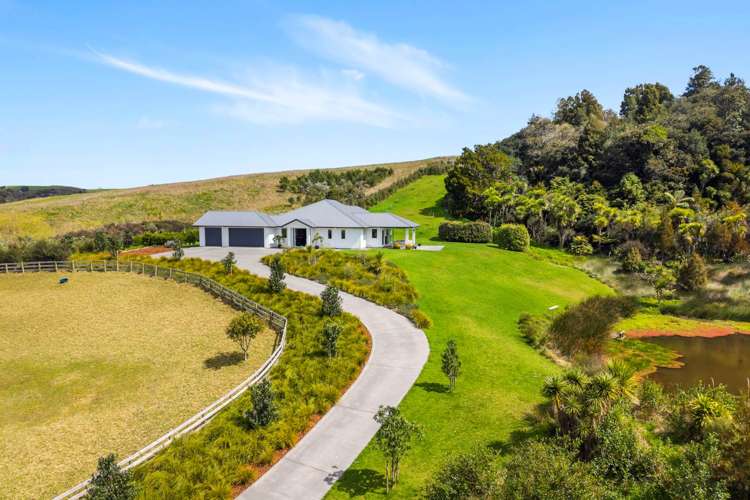 108 Tender Road Dairy Flat_32