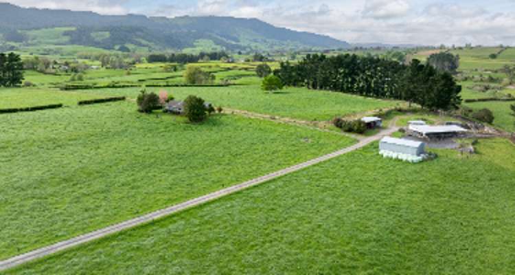 334 Okauia Springs Road_0