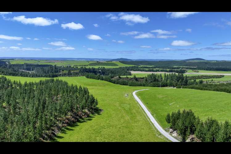 Korako Road Taupo_12