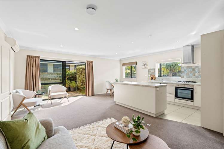 144A Winchester Street Levin_8