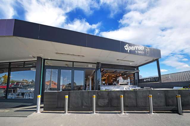 167 Kitchener Road Pukekohe_4