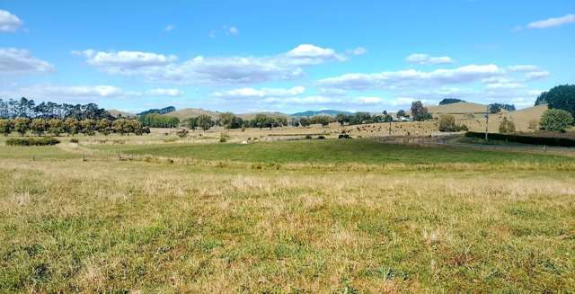 Quality lifestyle living in Waerenga