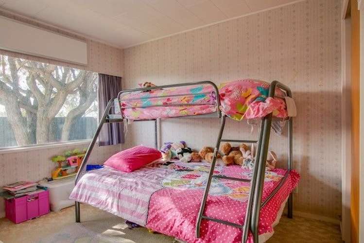 1 Arney Street Tamatea_7