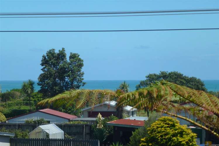 339 Main South Road Paroa_15