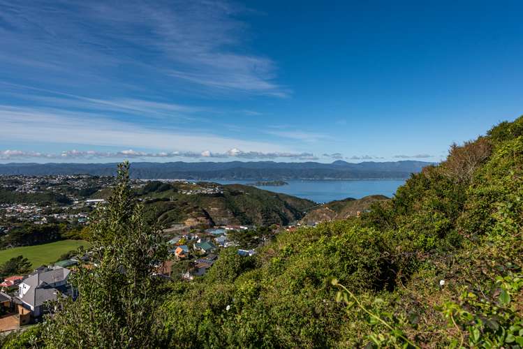 38 Jaunpur Crescent Broadmeadows_29