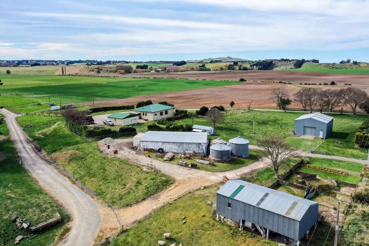 26 Springfield Road Totara_28