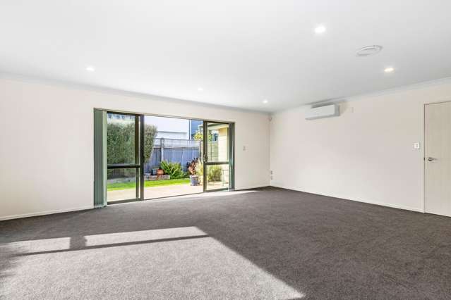 46a Plunket Street Spreydon_3