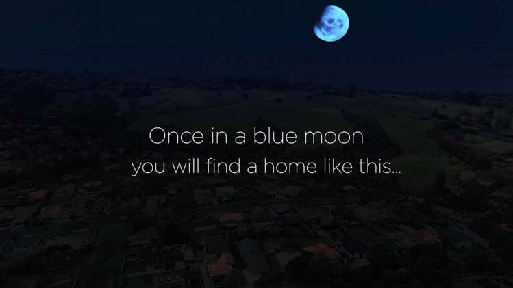 33 Carnarvon Avenue Glendowie_26