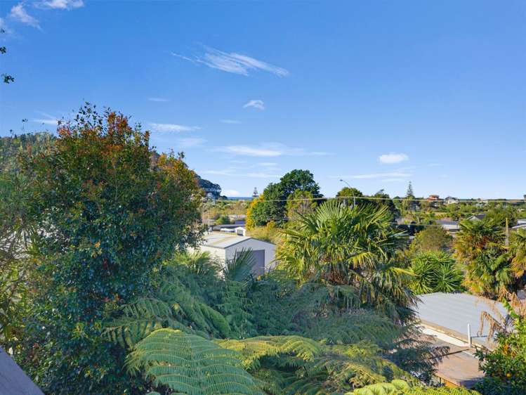 341 Main Road Tairua_20