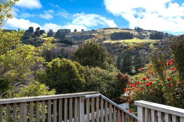 48 Rhodes Terrace North East Valley_1