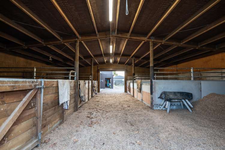 81 Racecourse Road Cambridge_12