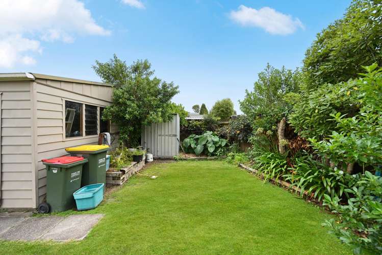 15 Tupelo Street Pukete_12