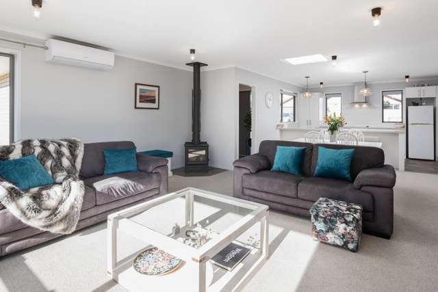 10 Mustang Alley Blenheim_2