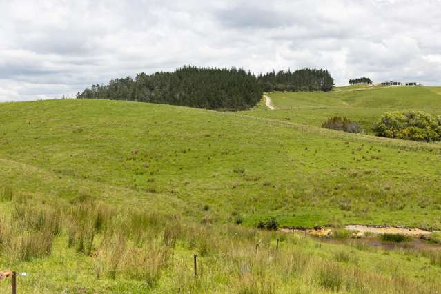 39 Taipa View Road Taipa_2