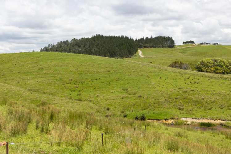 39 Taipa View Road Taipa_2