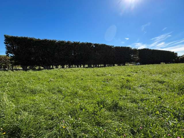 85 George Street Edendale_3